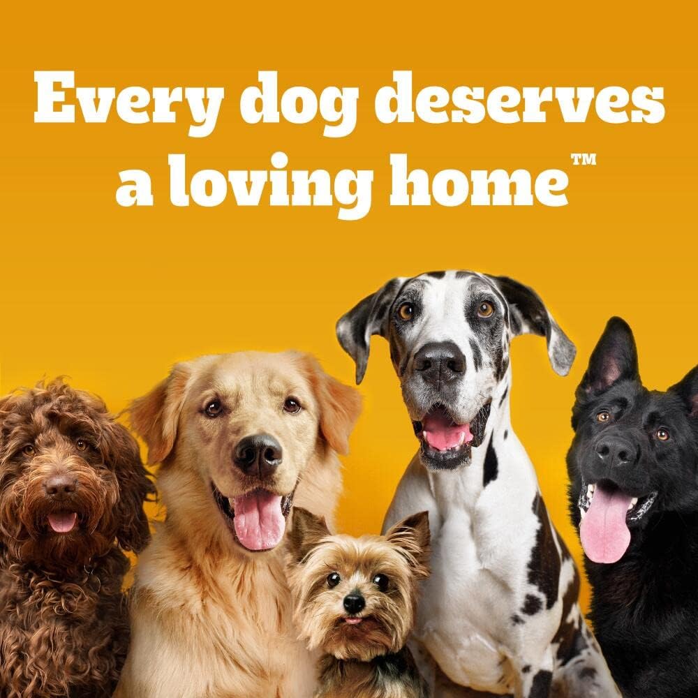 Pedigree DentaStix, Functional Snacks, Daily Dental Chews for Small Dogs (5 -10 kg), Megapack of 16 x 7 (112 Sticks)