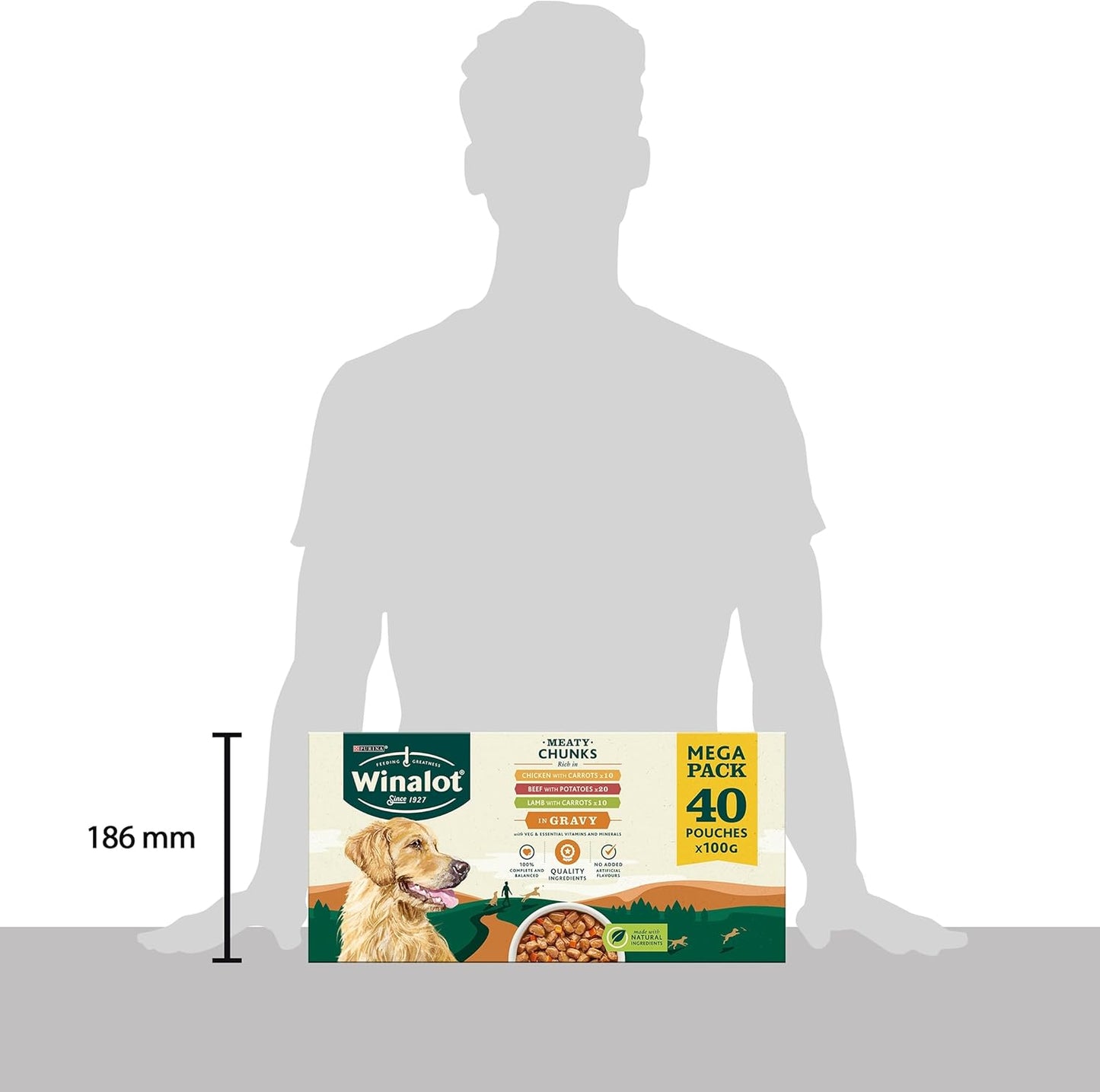 WINALOT Meaty Chunks Mixed in Gravy Wet Dog Food Pouches 40x100g