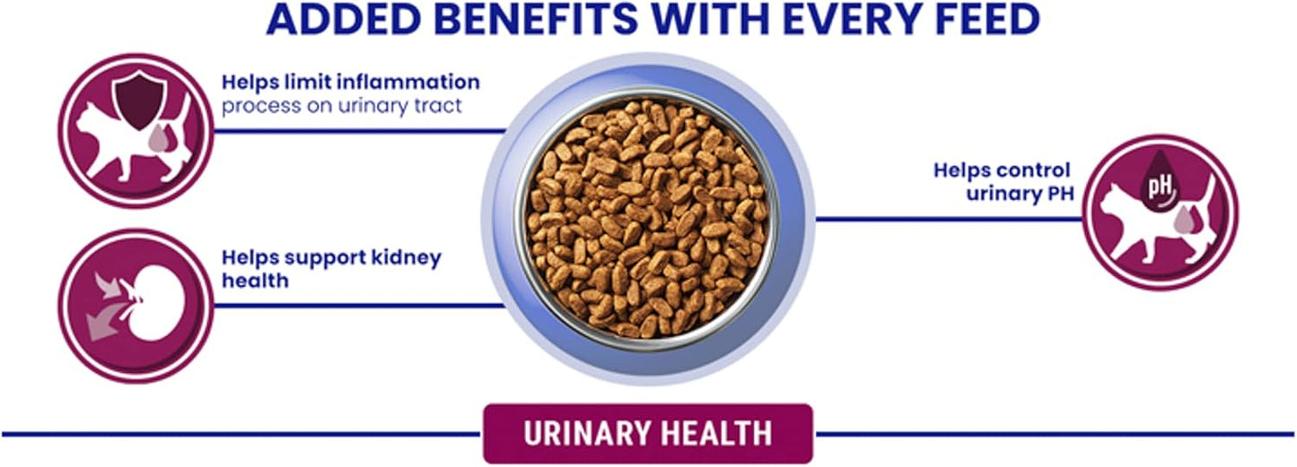 PURINA ONE Urinary Health Chicken Dry Cat Food 750g (Pack of 4)