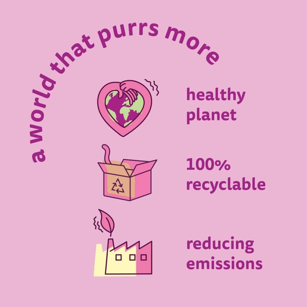 Whiskas Junior Poultry Selection in Jelly 48 x 85 g Pouches, Kitten Cat Food, Pack of 4 (12 x 85 g)