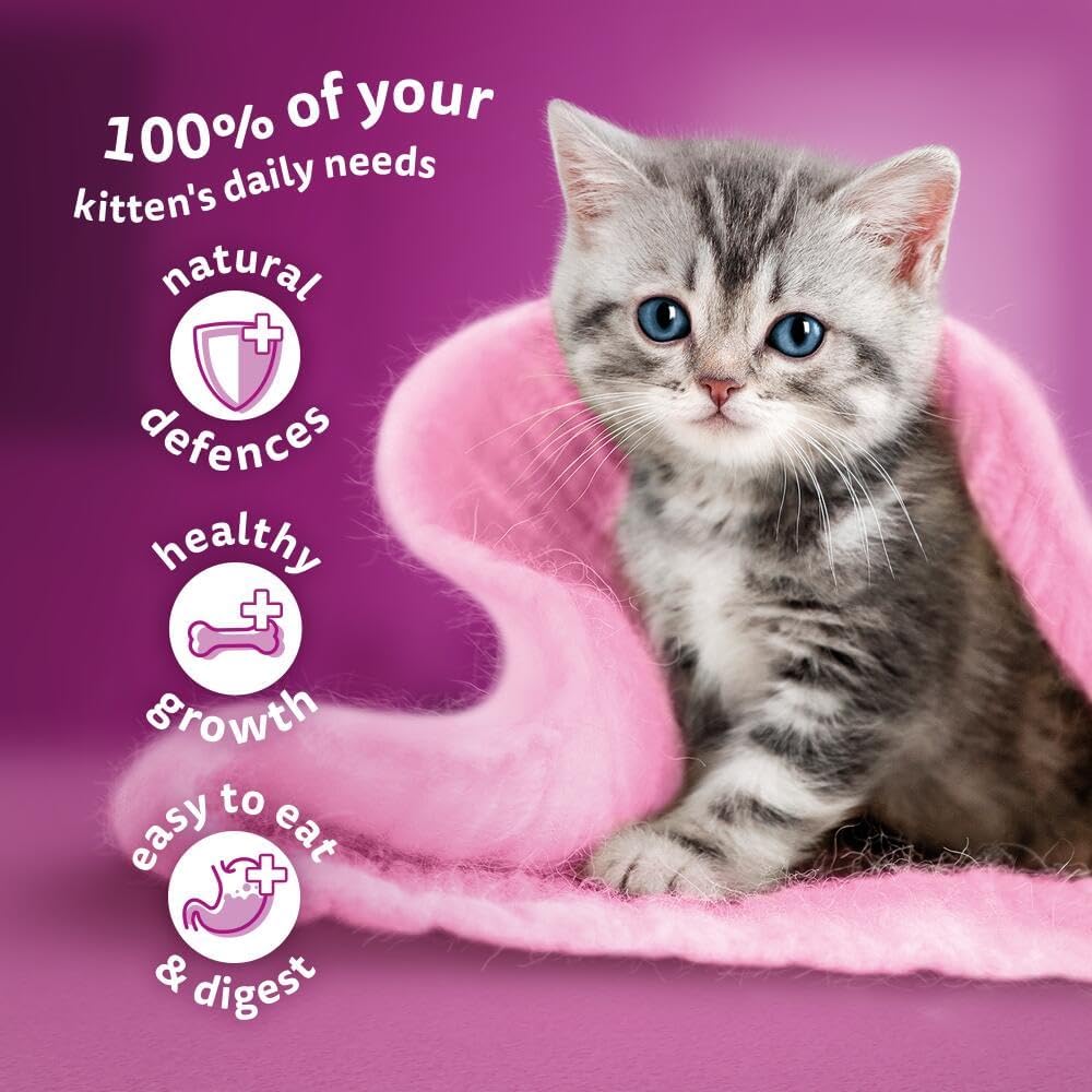 Whiskas Junior Wet Kitten Food Pouches in Jelly – Poultry Selection – 84 x 85g Megapack