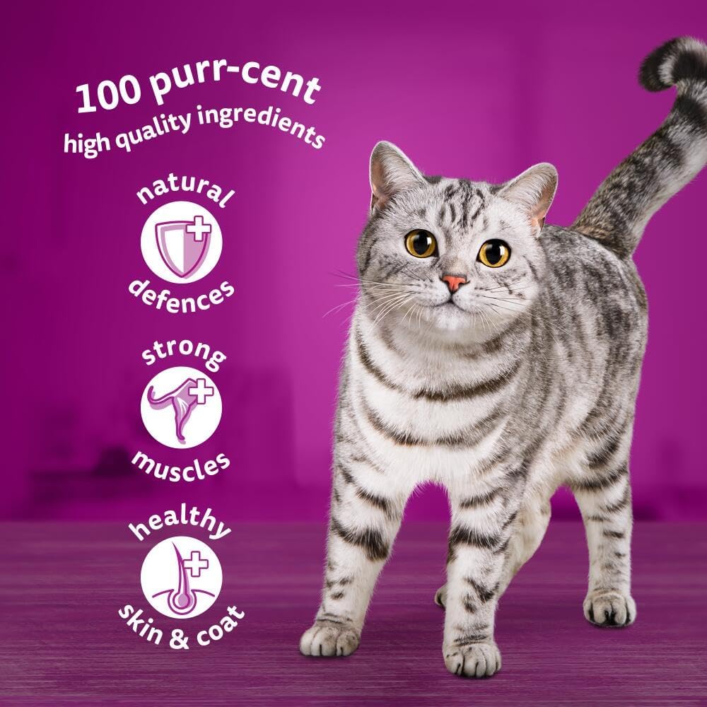 WHISKAS 1+ Adult Wet Cat Food Pouches - 40 x 85 g - Poultry Selection - Bulk Cat Food Megapack - 40 Jelly Pouches