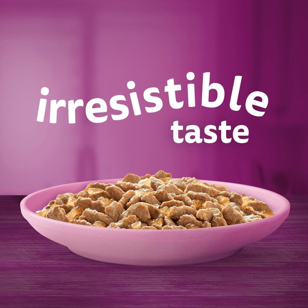 Whiskas Junior Wet Kitten Food Pouches in Jelly – Poultry Selection – 84 x 85g Megapack