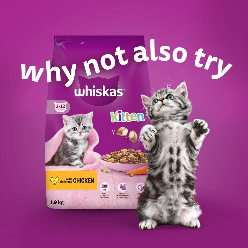 Whiskas Junior Poultry Selection in Jelly 48 x 85 g Pouches, Kitten Cat Food, Pack of 4 (12 x 85 g)