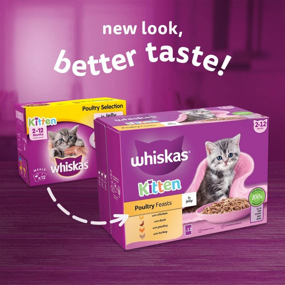 Whiskas Junior Poultry Selection in Jelly 48 x 85 g Pouches, Kitten Cat Food, Pack of 4 (12 x 85 g)