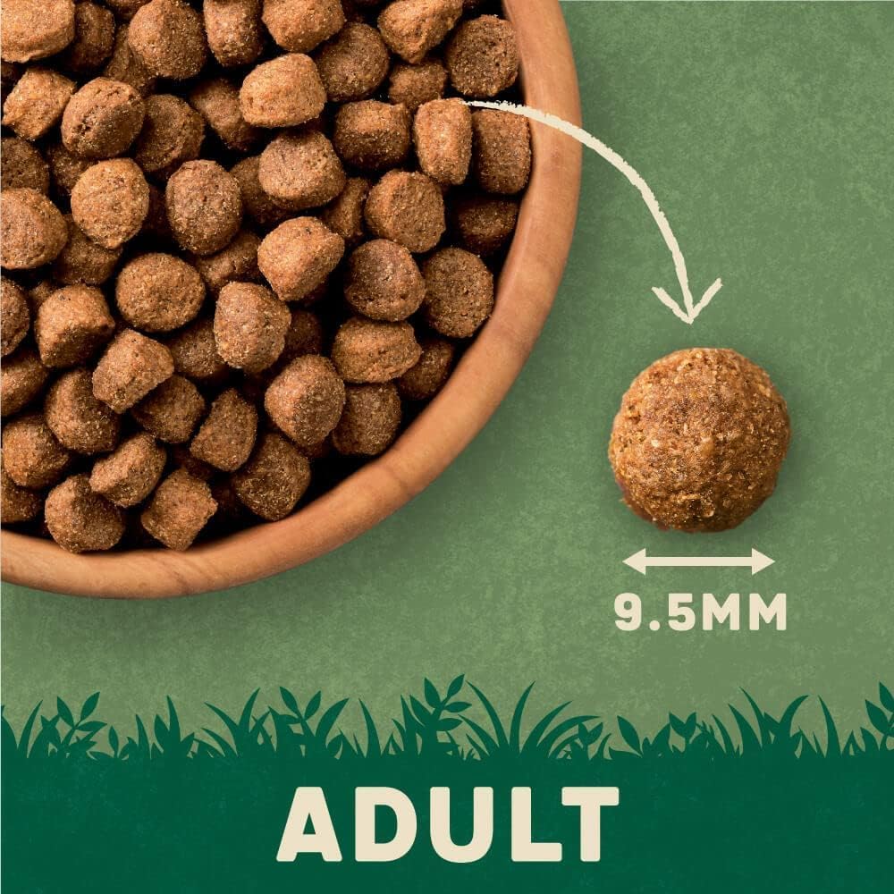 Harringtons Complete Dry Adult Dog Food Turkey & Veg 15kg - Made with all Natural Ingredients, Packaging May Vary