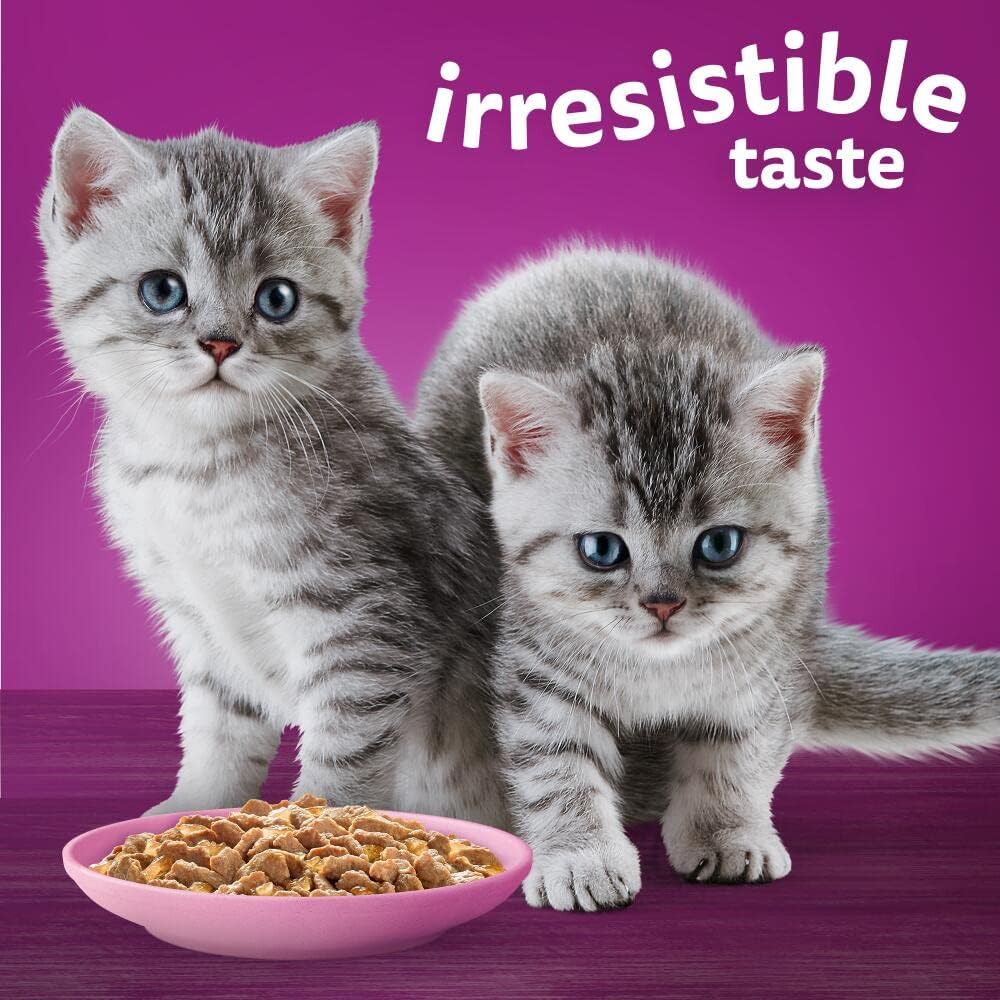 Whiskas Junior Poultry Selection in Jelly 48 x 85 g Pouches, Kitten Cat Food, Pack of 4 (12 x 85 g)