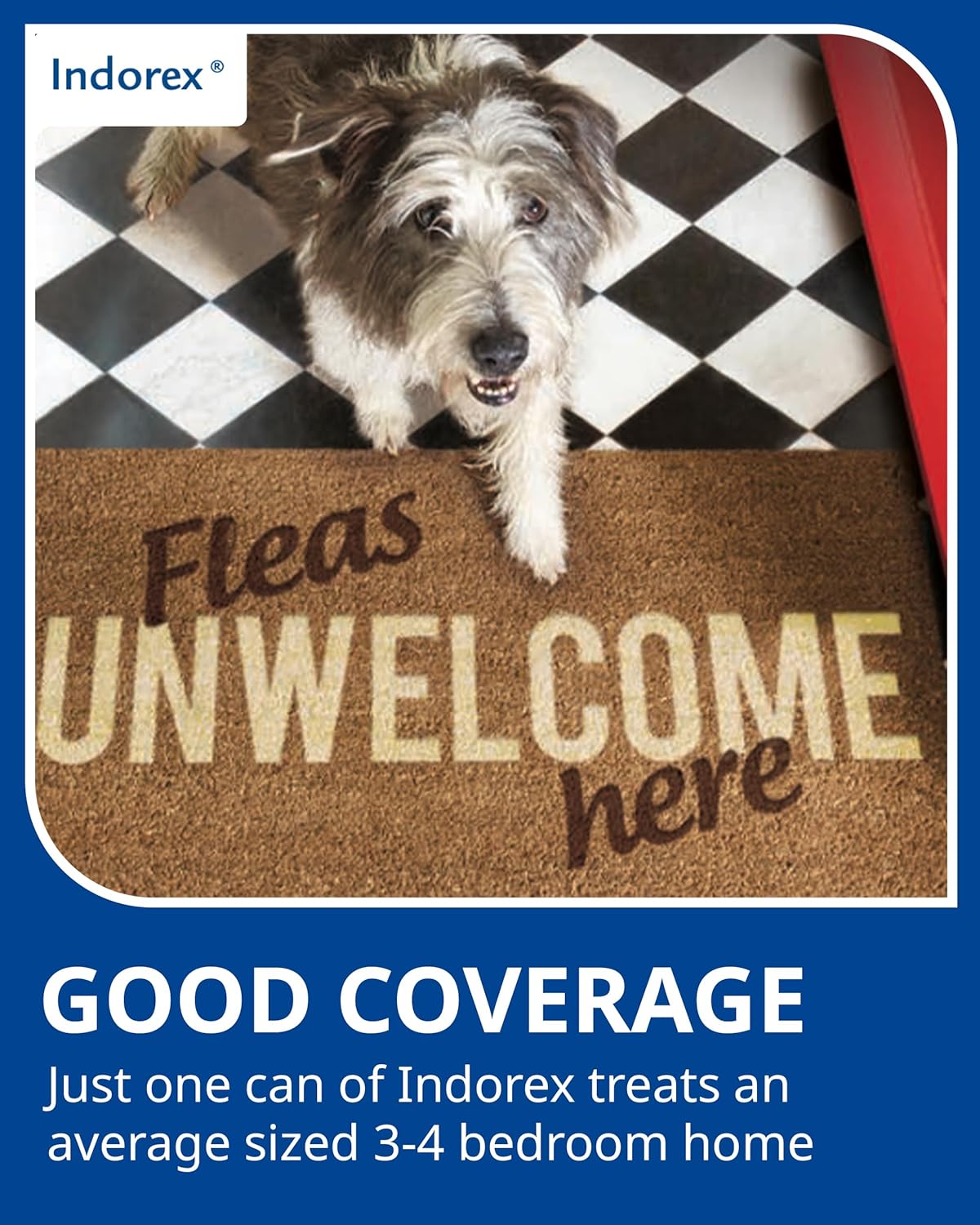 Indorex Defence Household Flea Spray | 2 x 500ml Cans | Protect Home from Fleas & House Dust Mites | Long-Lasting Protection for Up to 12 Months