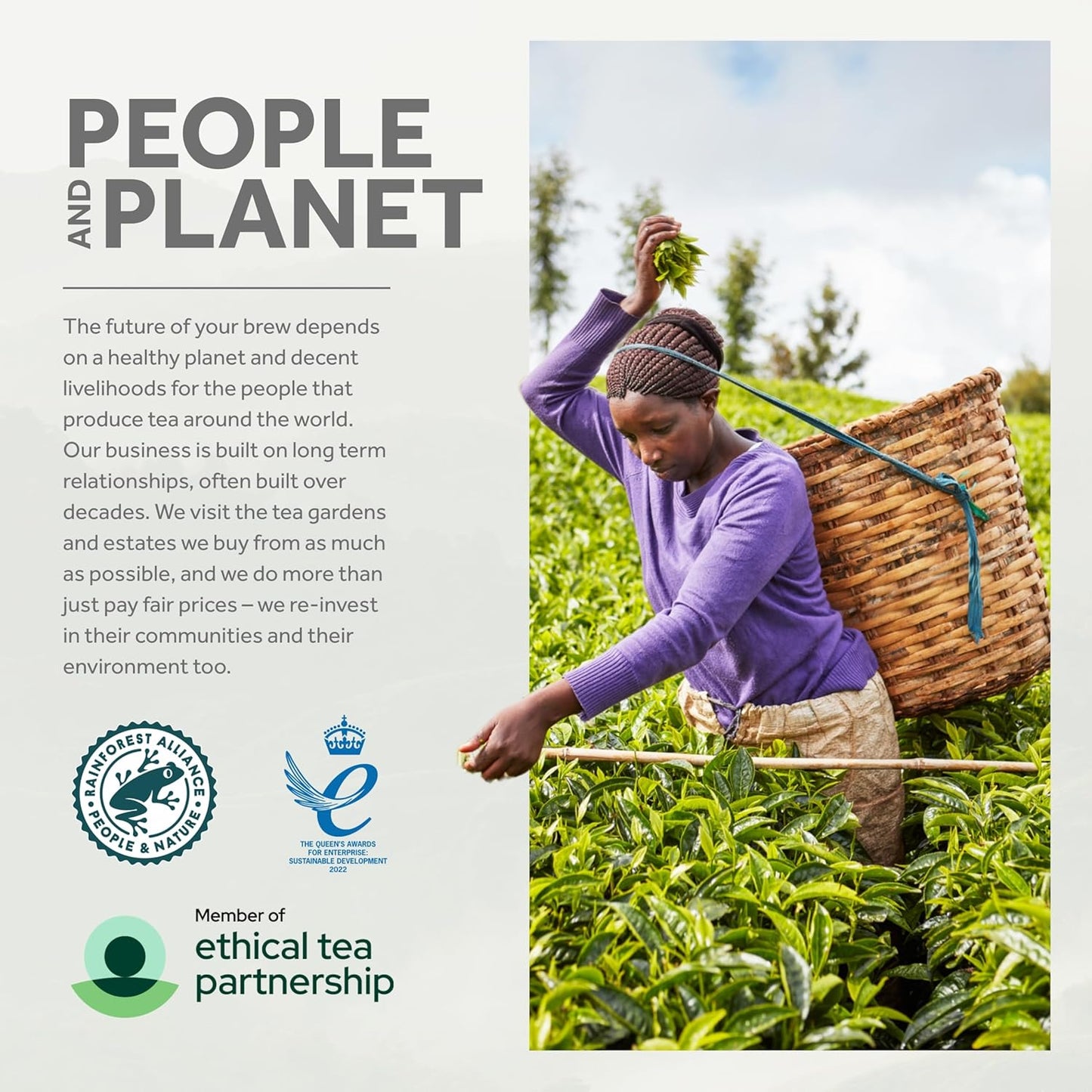 Yorkshire Tea, 5 Boxes of 40 Tea Bags, (Total 200 Bags)