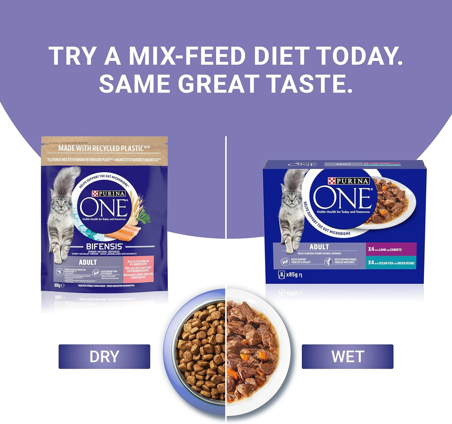 PURINA ONE Salmon Dry Cat Food 800g (Pack of 4)