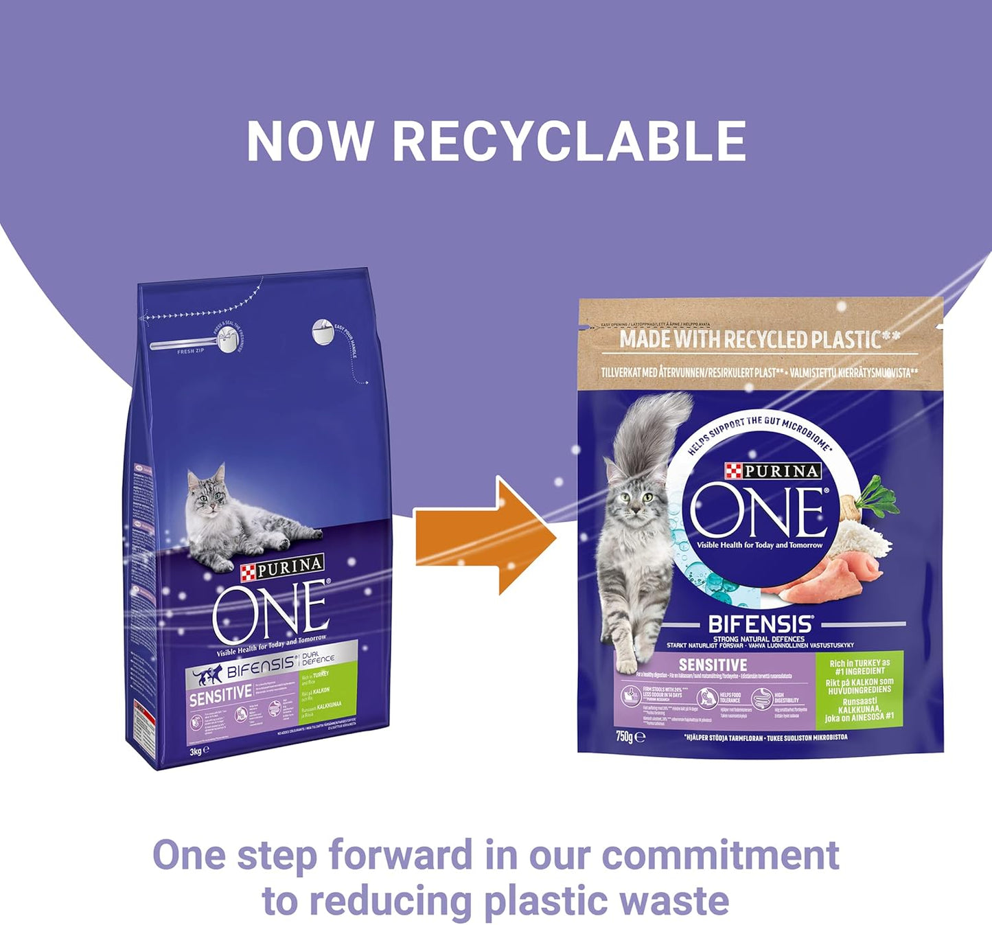 PURINA ONE Sensitive Turkey Dry Cat Food 750g (Pack of 4)