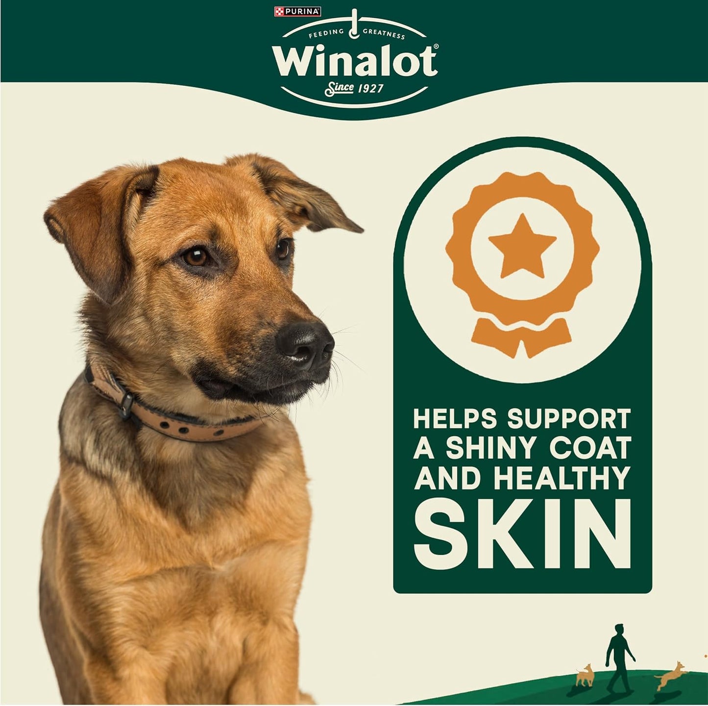 WINALOT Meaty Chunks Adult Wet Dog Food Mixed in Jelly Beef, Chicken, Lamb 40x100g Pouches