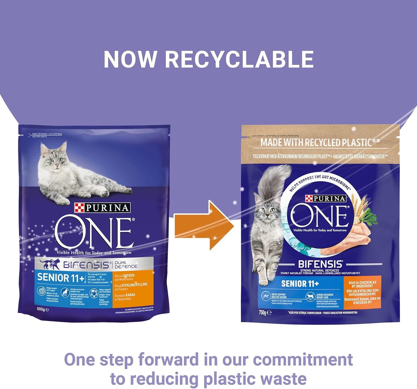 PURINA ONE Senior 11+ Chicken Dry Cat Food 750g (Pack of 4)